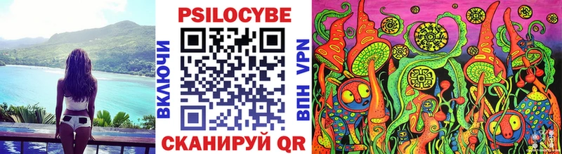 наркошоп  Беломорск  Псилоцибиновые грибы Psilocybe 